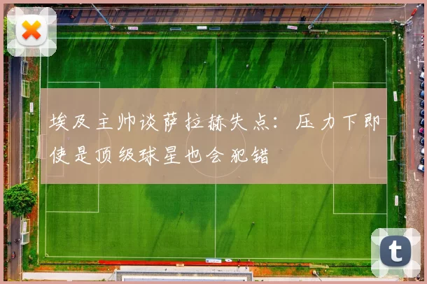 埃及主帅谈萨拉赫失点：压力下即使是顶级球星也会犯错